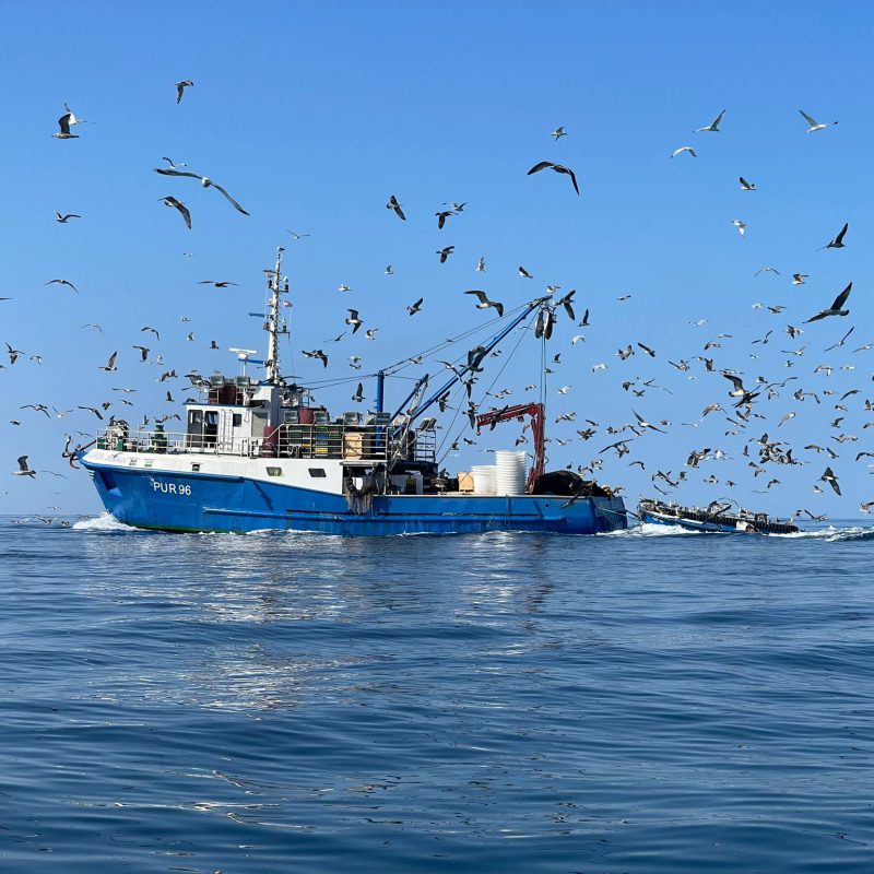 08d96822-7004-47a3-90b2-5d775ce18160