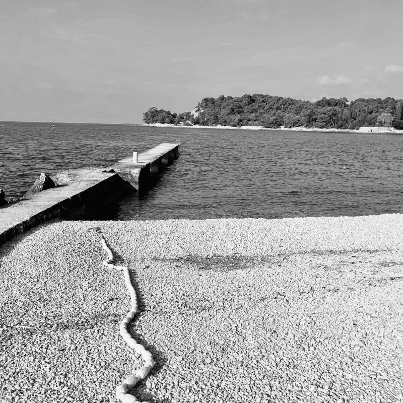 17B10C63-4782-4D8D-999A-E10359EFCF77