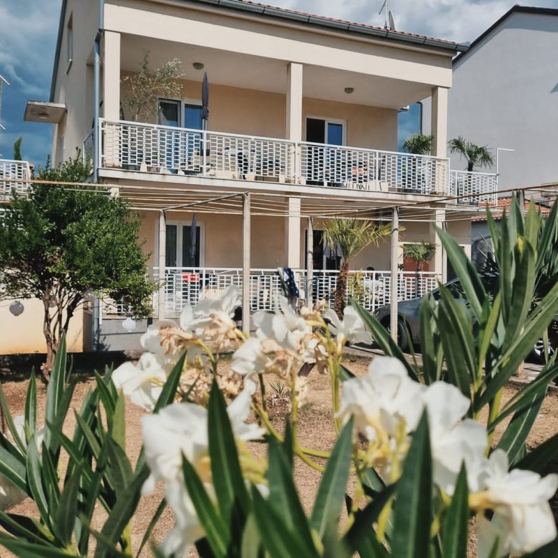 5ffde3cc-19da-45cb-849e-fdaebfc57f6c