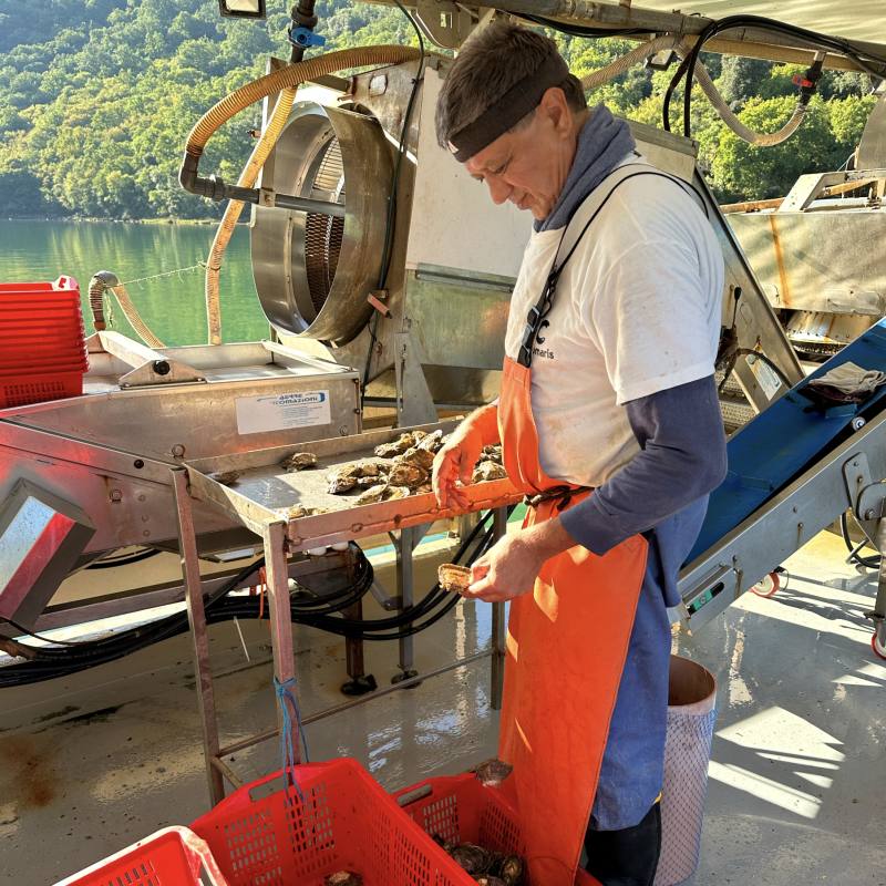 Bildschirmfoto 2025-11-17 um 14.27.01