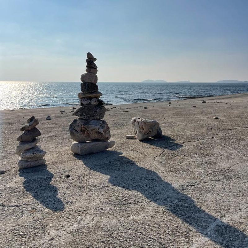 ac72890c-c648-4798-a054-082164969626